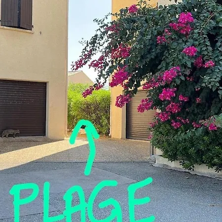 Agosta - T2 A 50m De La - Parking Et Wifi Gratuit - Commerce A Proximite * Albitreccia